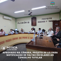 APROVADO NA CÂMARA PROJETO DE LEI PARA NOTIFICAÇÃO DE FALTAS ESCOLARES AO CONSELHO TUTELAR