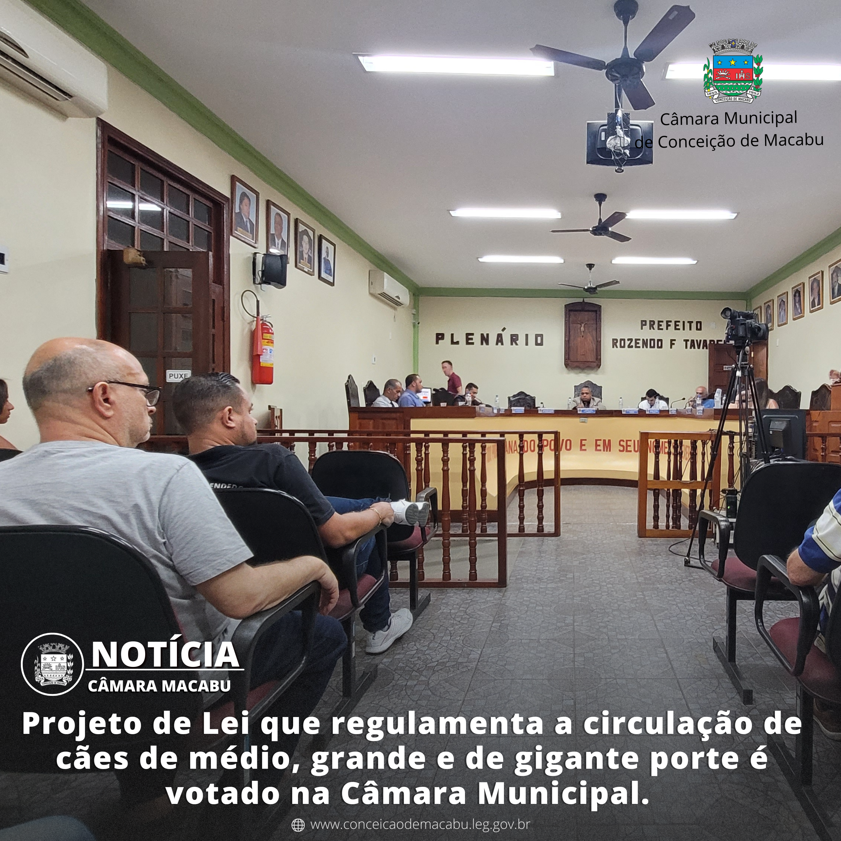 Projeto de Lei que regulamenta a circulação de cães de médio, grande e de gigante porte é votado na Câmara Municipal. 